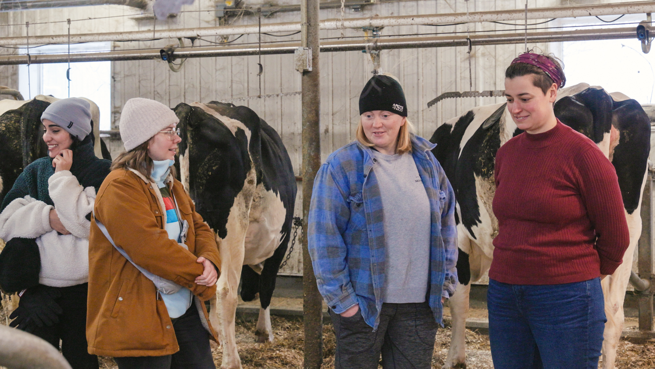 Utilisation du perméat de lait en alimentation des bovins laitiers et suivi des propriétés technologiques du lait à la ferme pour améliorer l’éco-efficience du secteur laitier