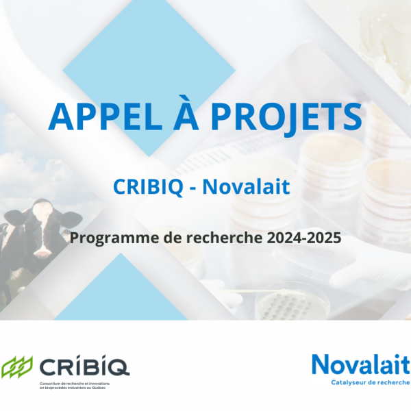 Research project selection