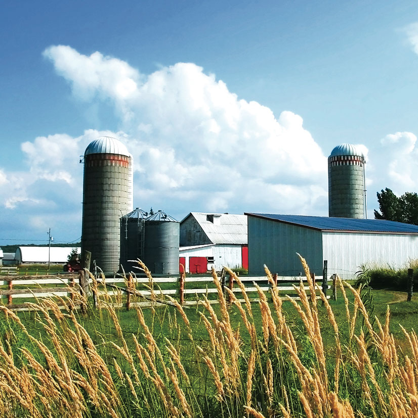 Silage innovation: Reduce losses and improve quality