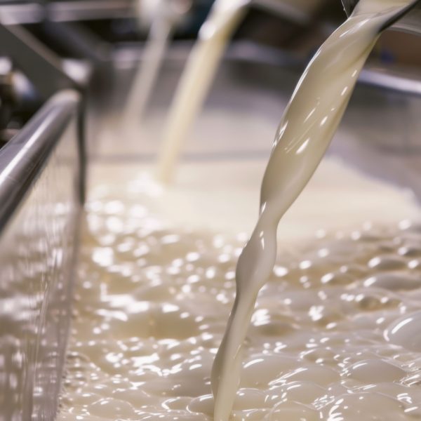 Évaluation des bénéfices potentiels d&rsquo;une nouvelle voie d&rsquo;intégration des protéines du lactosérum à la matrice fromagère