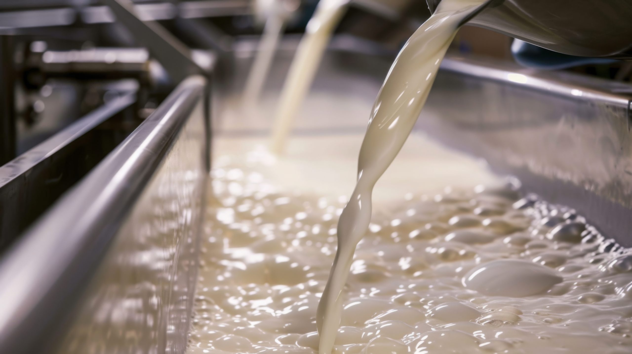 Valorisation des solides non gras sous forme de concentrés liquides : saisonnalité, stabilité, propriétés techno-fonctionnelles et applications