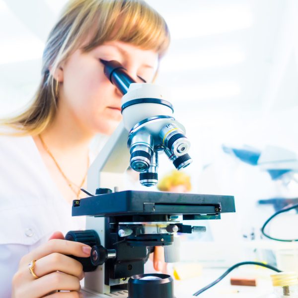 Formation de biofilms dans le secteur laitier: un problème de sécurité alimentaire