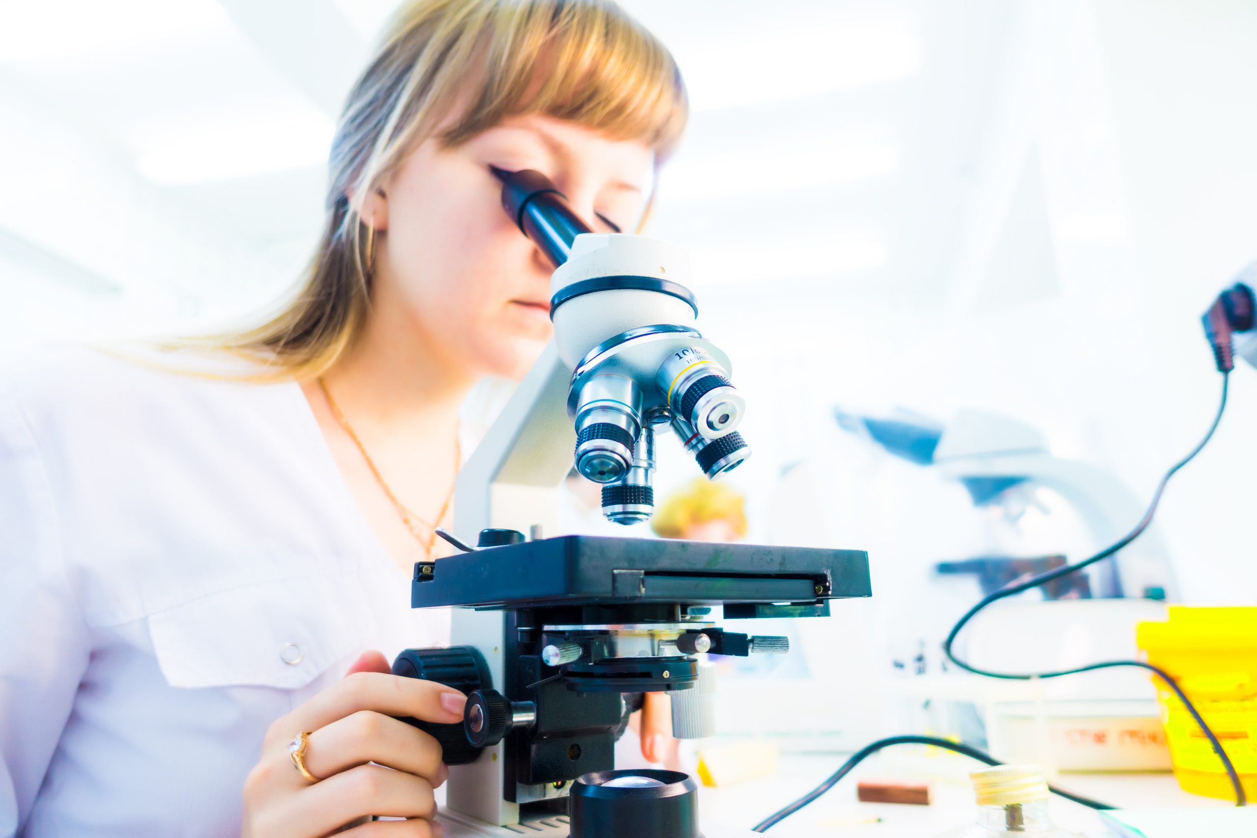 Stratégies antibiofilms dans le secteur de la transformation laitière