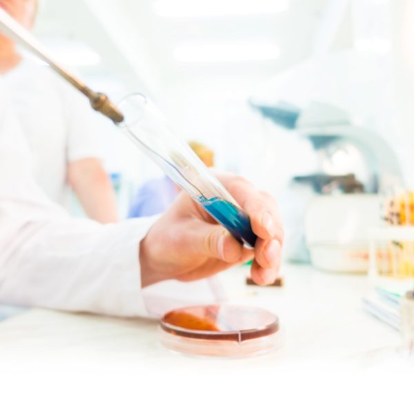 Les bactériocines des bactéries lactiques : nouvelle génération d’antimicrobiens naturels à fort potentiel pour les secteurs de la production et la transformation alimentaires – METABIOLAC II