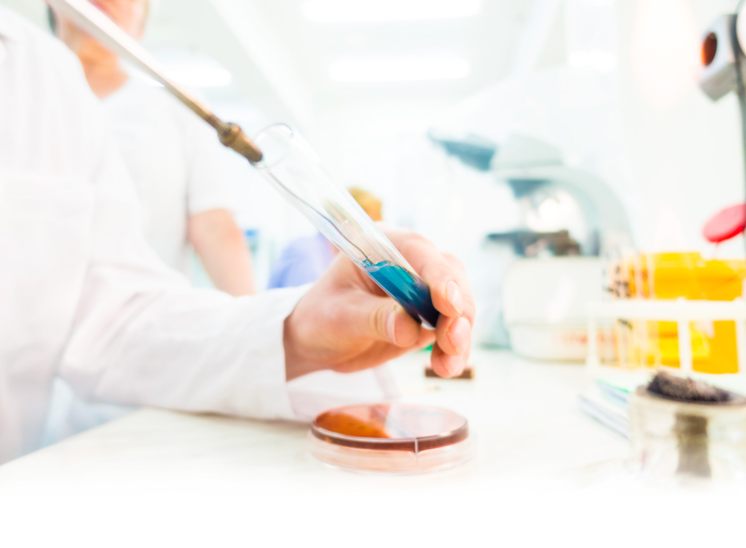 Les bactériocines des bactéries lactiques : nouvelle génération d’antimicrobiens naturels à fort potentiel pour les secteurs de la production et la transformation alimentaires – METABIOLAC II