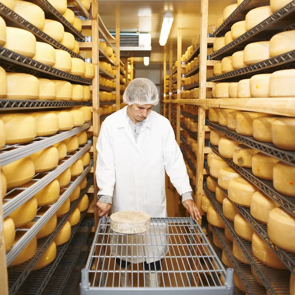 A better understanding of dairy biofilms from farm to fork