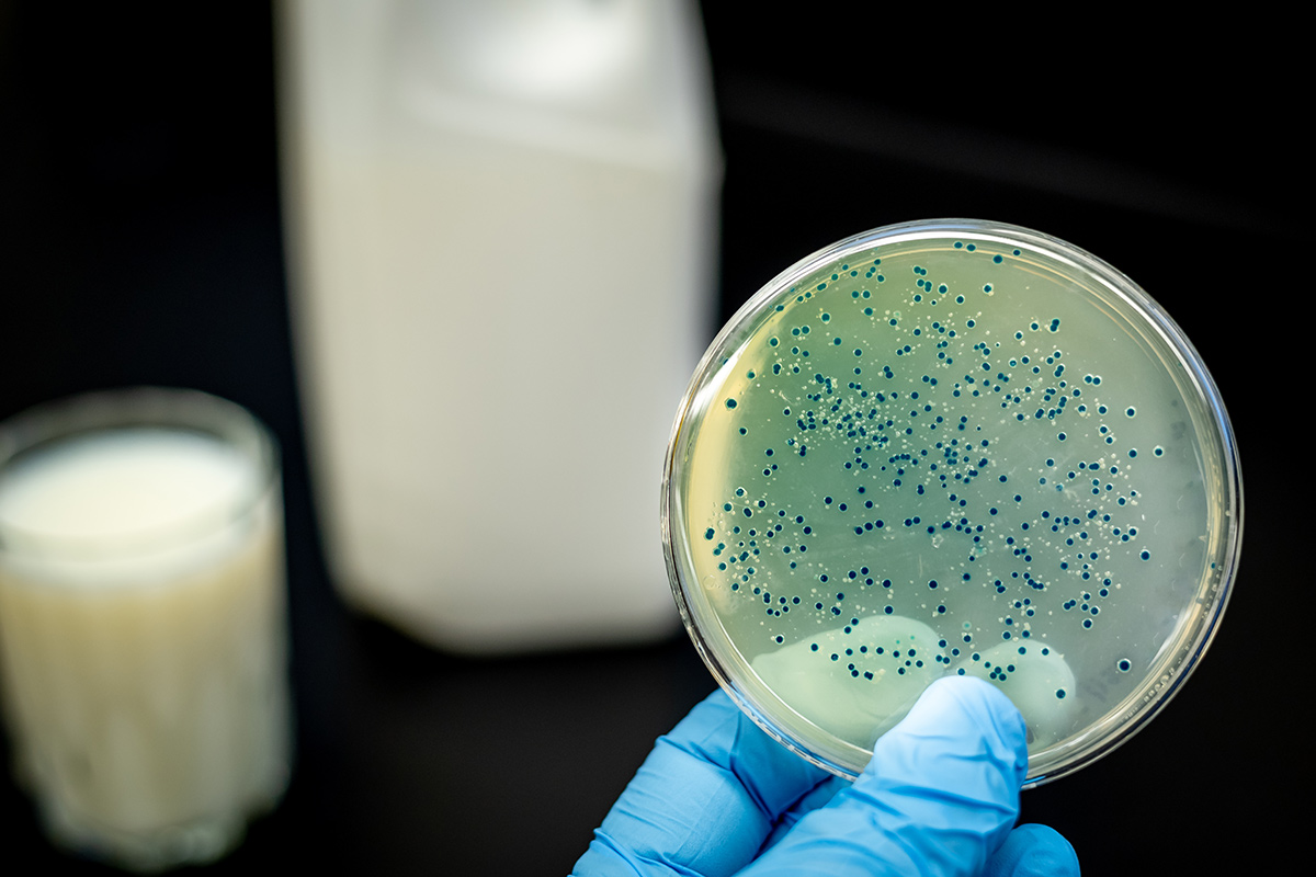 Natural solutions for better quality milk